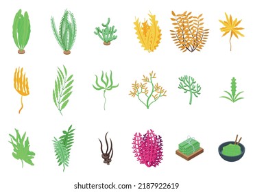 Algae icons set isometric vector. Spirulina plant. Plant seaweed