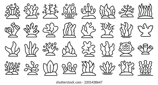 Algae Icons Set Outline Vector. Spirulina Plant. Sea Grass