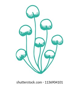 algae isolated hand drawing vector. on white background sea plant.