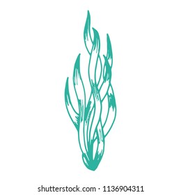 algae isolated hand drawing vector. on white background.