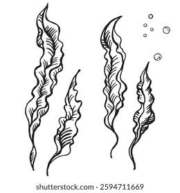 Algae leaves depicted in graphic style