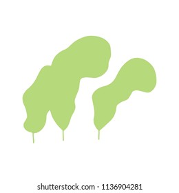 algae leaves isolated hand drawing. on white background vector.