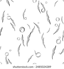 Algae leaves and water bubbles. Marine illustration of the underwater world, graphically drawn in black ink. Vector seamless pattern in EPS