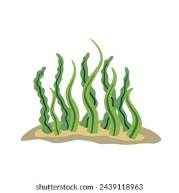 Algae on seabed. Underwater scenery. Aquarium Icon isolated on white background. Alga Plants and seaweed with long leaves. Green Element of the sea and water