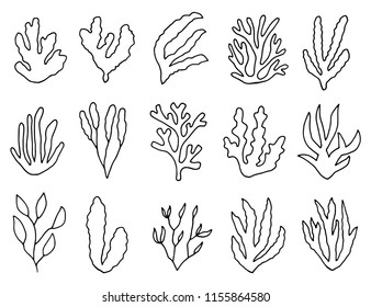 algae outline isolated plants. linear drawing set of objects.