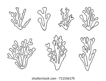 algae outlined set vector isolated