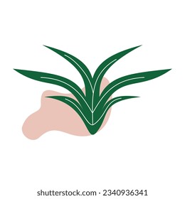 Algae plant abstract recolorable vector element
