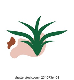 Algae plant abstract recolorable vector element