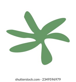 Algae plant abstract vector element