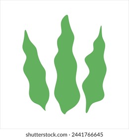 Algae plant abstract vector element