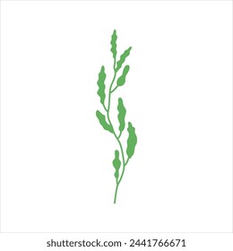 Algae plant abstract vector element