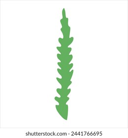 Algae plant abstract vector element