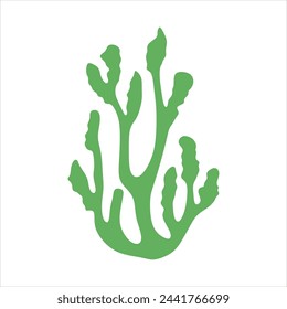 Algae plant abstract vector element