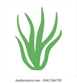 Algae plant abstract vector element