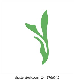 Algae plant abstract vector element
