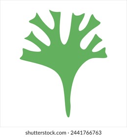 Algae plant abstract vector element