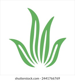Algae plant abstract vector element