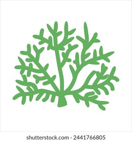 Algae plant abstract vector element