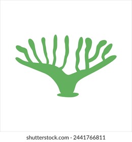 Algae plant abstract vector element