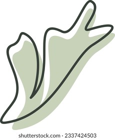 Algae plant aesthetic recolorable vector element