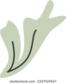 Elemento vector recolorable estético de la planta de algas
