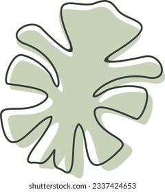 Algae plant aesthetic recolorable vector element