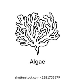 Algae Plant Natural Ingredient Illustration Design