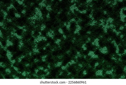 algae plant texture background design