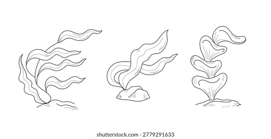 Algae, and polyps, a set of hand-drawn sketches. Vector illustration. Underwater inhabitants from the ocean floor, drawings isolated on a white background