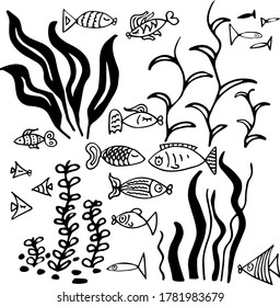 algae and sea fish for background