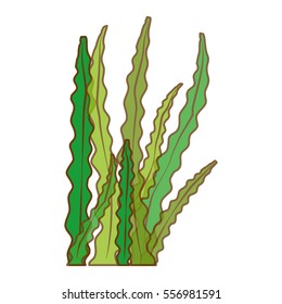 algae or seaweed icon image vector illustration design 