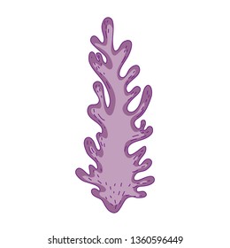 algae seaweed nature icon