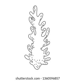 algae seaweed nature icon