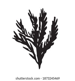 algae seaweed silhouette icon. vector sign