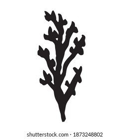 algae seaweed silhouette icon. vector
