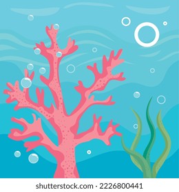 algae and seaweed underwater scene