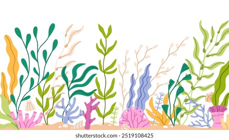 Algae, seaweeds and corals, underwater sea plants border. Tropical marine flora. Undersea grass, under water floral leaves, natural seabed. Flat vector illustration isolated on white background