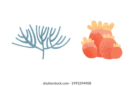 Algas De Algas Colocadas, Plantas Submarinas Tropicales Submarinas Ilustración Del Vector De Dibujo