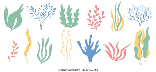 Algae set. Hand drawn collection of colored algae. Sea plants.Vector illustration.