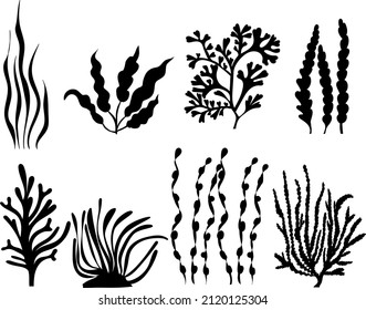 algae set silhouette ,on white background, vector