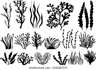 algae set silhouette, on white background, isolated, vector