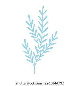 Algae in silhouette style. Colored underwater plant. Vector illustration. Isolated algae.