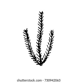 algae silhouette vector