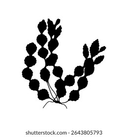 Projeto de ilustração plana de vetor de silhueta de algas.