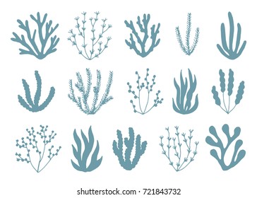 algae silhouettes set of icons