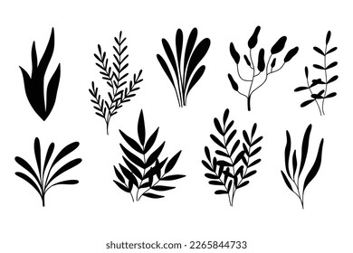 Algae silhouettes set. Vector illustration. Algae collection. Sea plants.