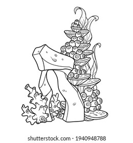 Algae, sponges and corals grow on a figured stone coloring book linear drawing isolated on white background