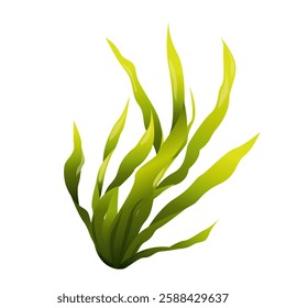 Algae. Underwater flora in the gradient. Can be used environmental projects, promotional materials, textbooks, logos and branding.