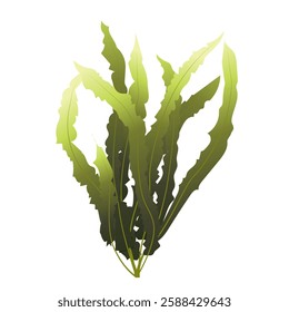 Algae. Underwater flora in the gradient. Can be used environmental projects, promotional materials, textbooks, logos and branding.