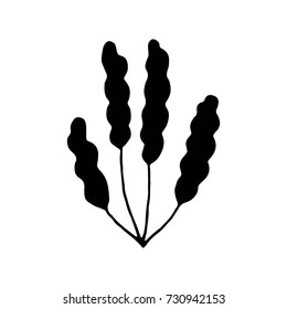 algae vector